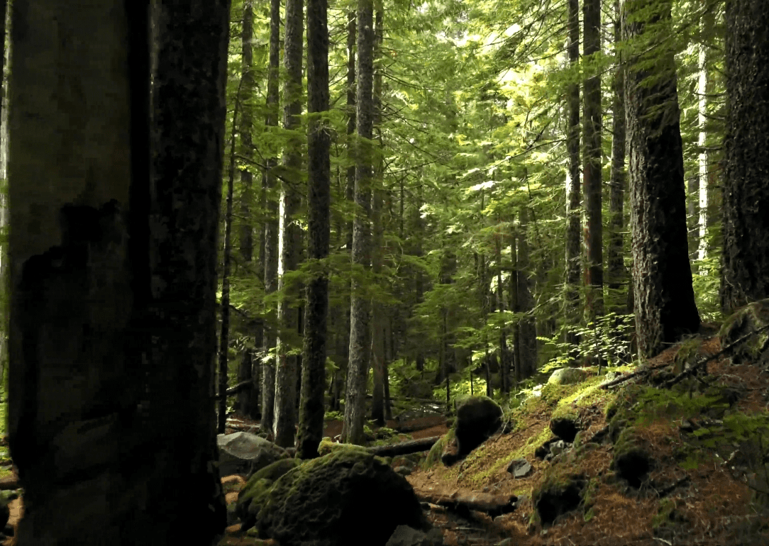 バーチャルツアー｜スプラッシュスクリーン・動画