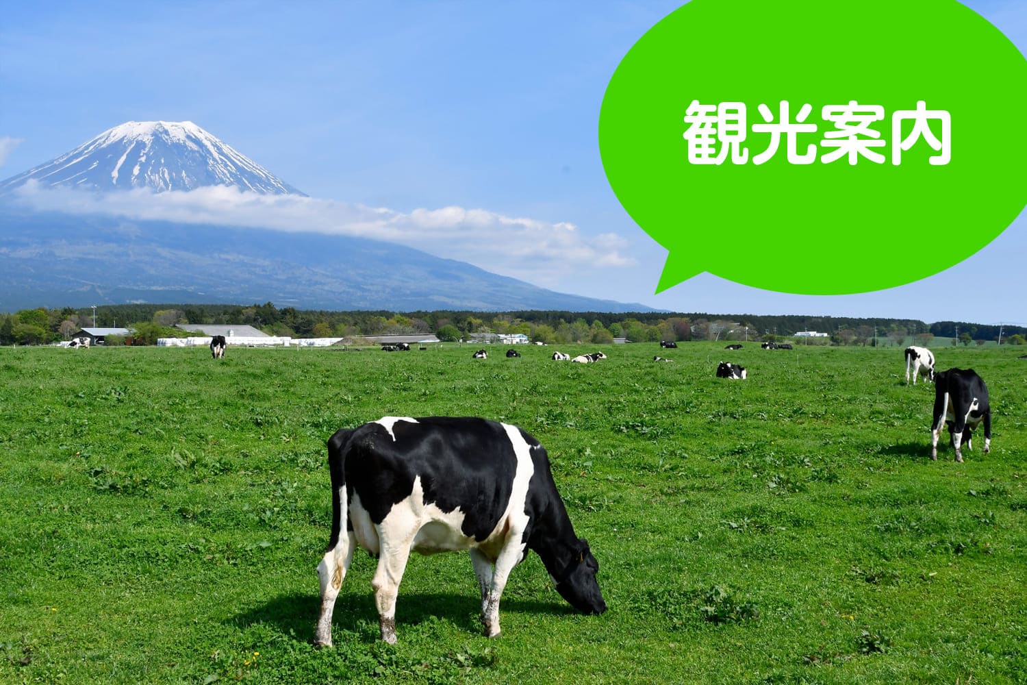 観光案内